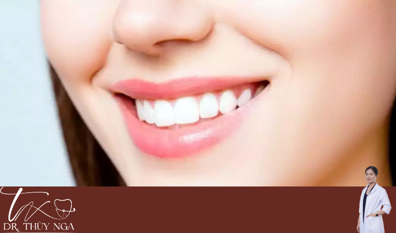 Chức năng của từng loại răng của con người